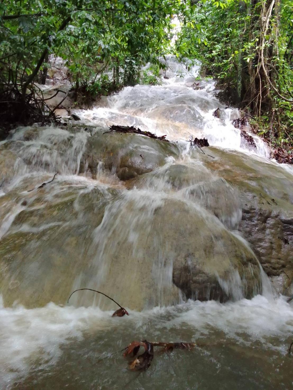 Khao Sok Inn Hostel Khao Sok National Park 外观 照片